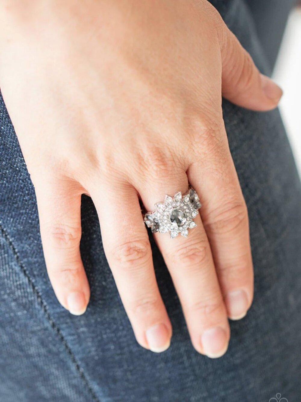 Paparazzi Jewelry Accessories The Princess and The FROND - Silver Ring - Vintage